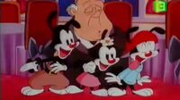 Animaniacs الضاحكون Jq6vvd9d32hs_t